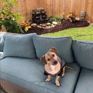 Meet your Posher, Anna